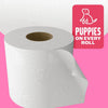 Andrex Family Soft Toilet Roll Bulk Pack